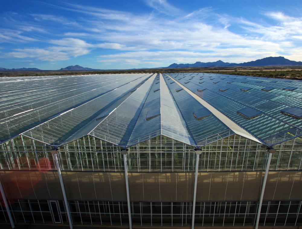 a strong glass greenhouse