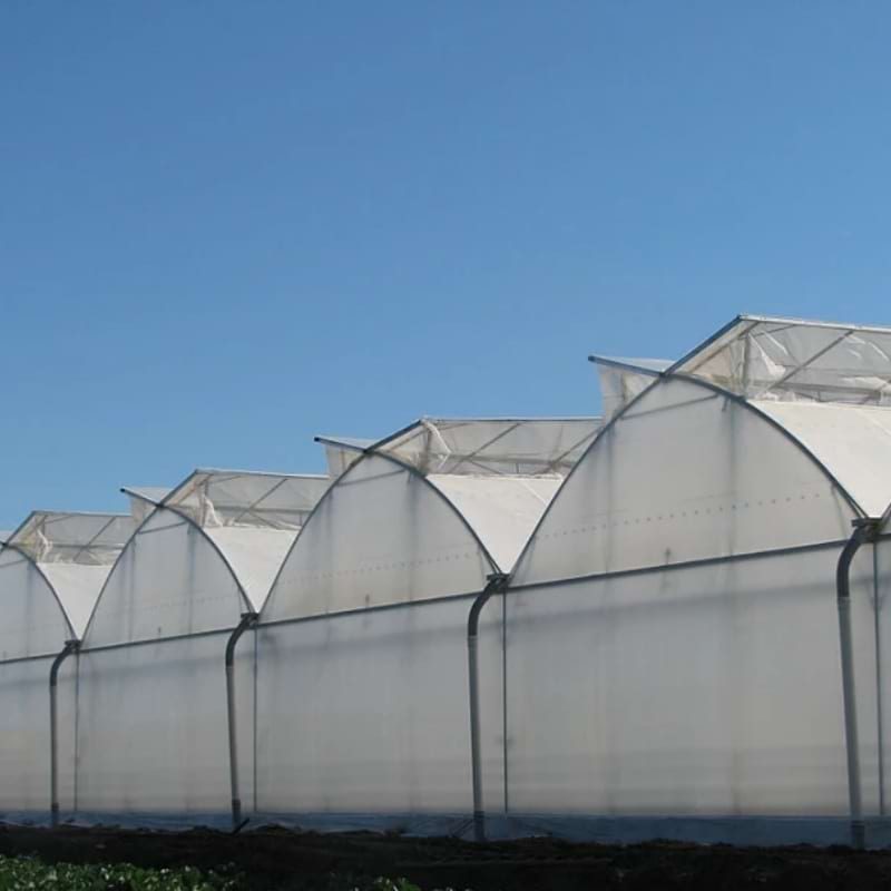 Classic double roof vent film greenhouse