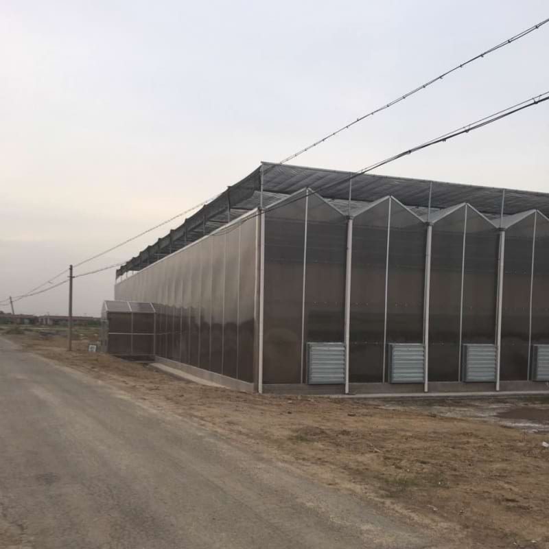 commercial polycarbonate greenhouse