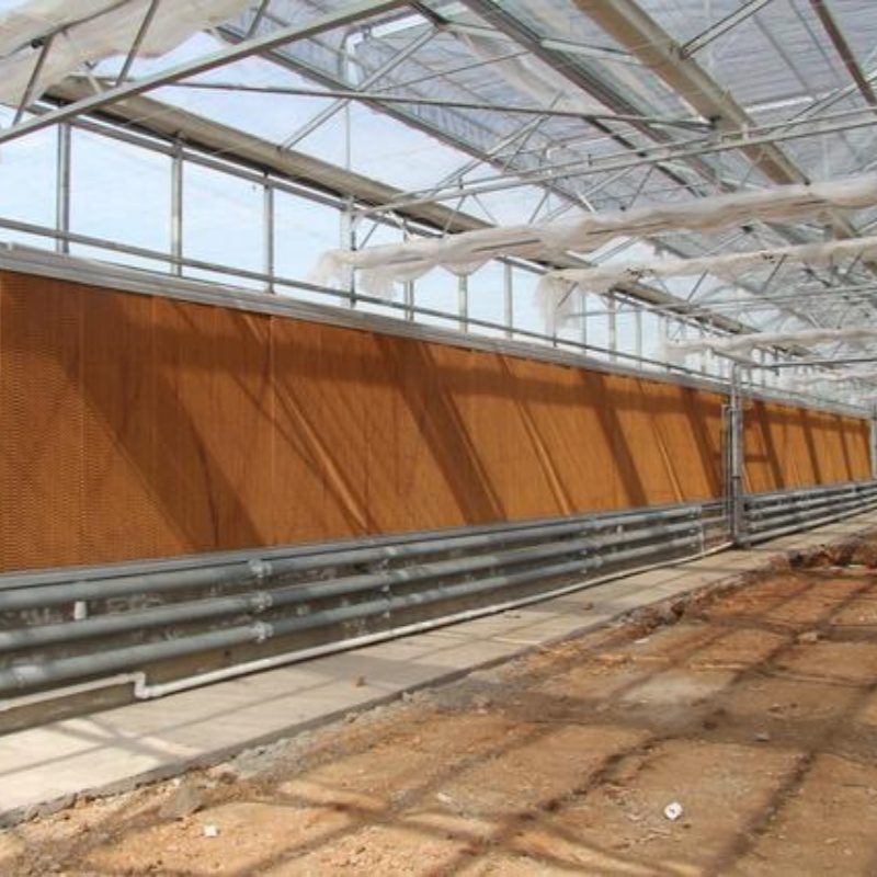 cooling pad in greenhouse