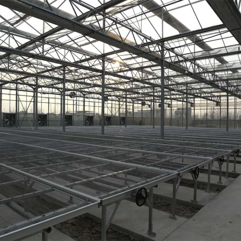 glass greenhouse rolling bed