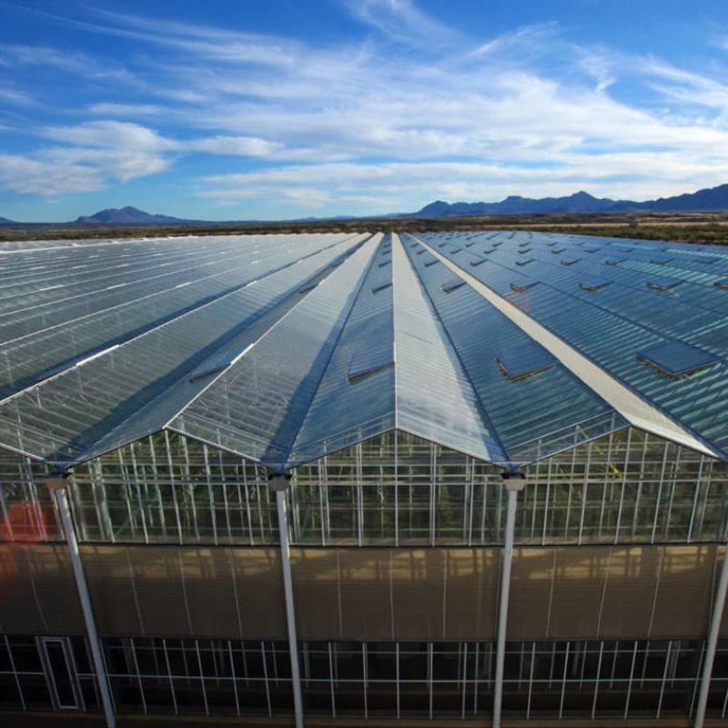 a strong glass greenhouse