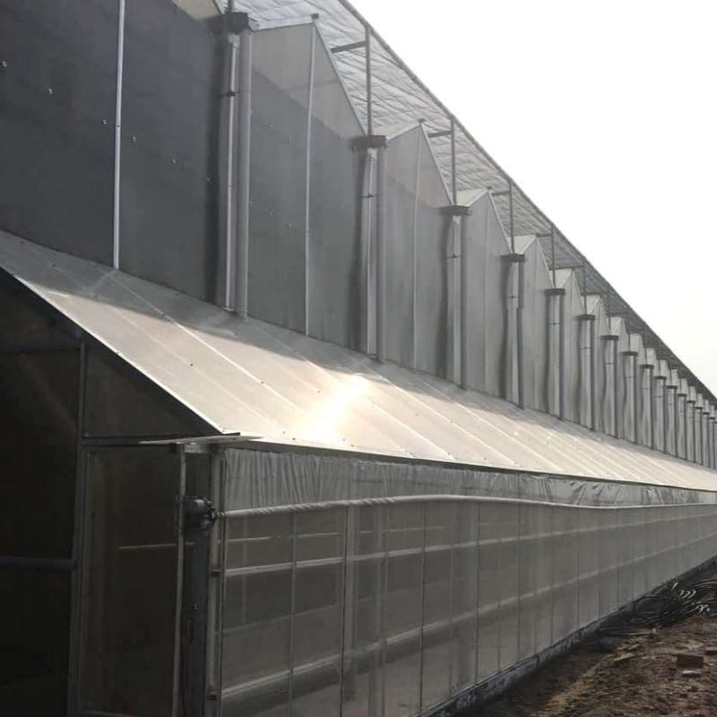 polycarboante greenhouse with cooling system