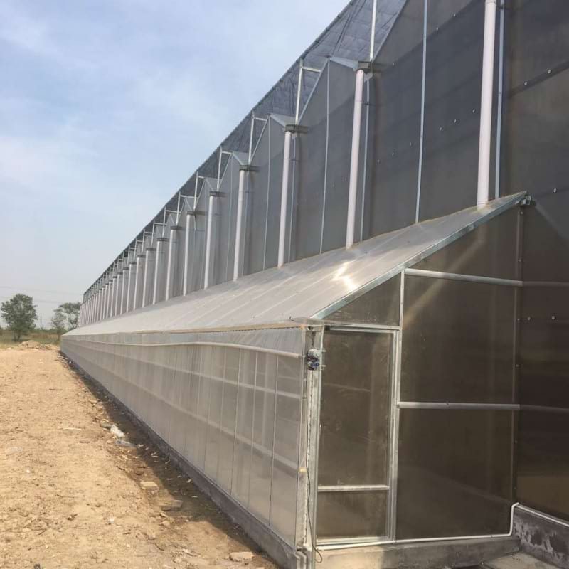 polycarbonate greenhouse factory