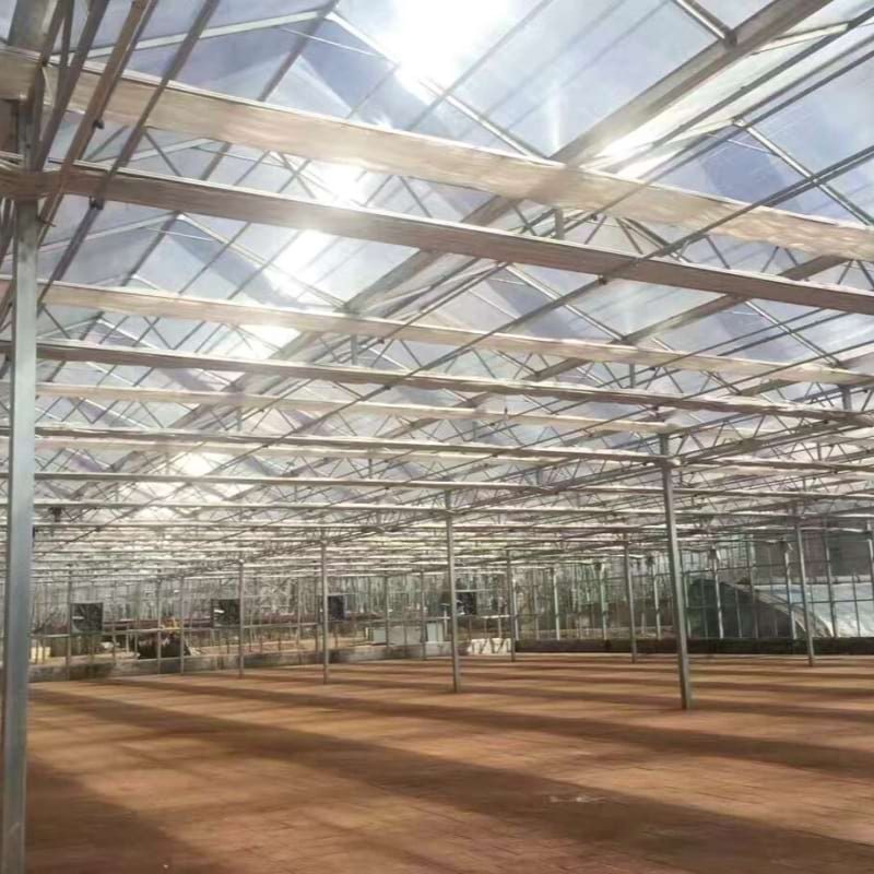 polycarbonate greenhouse price