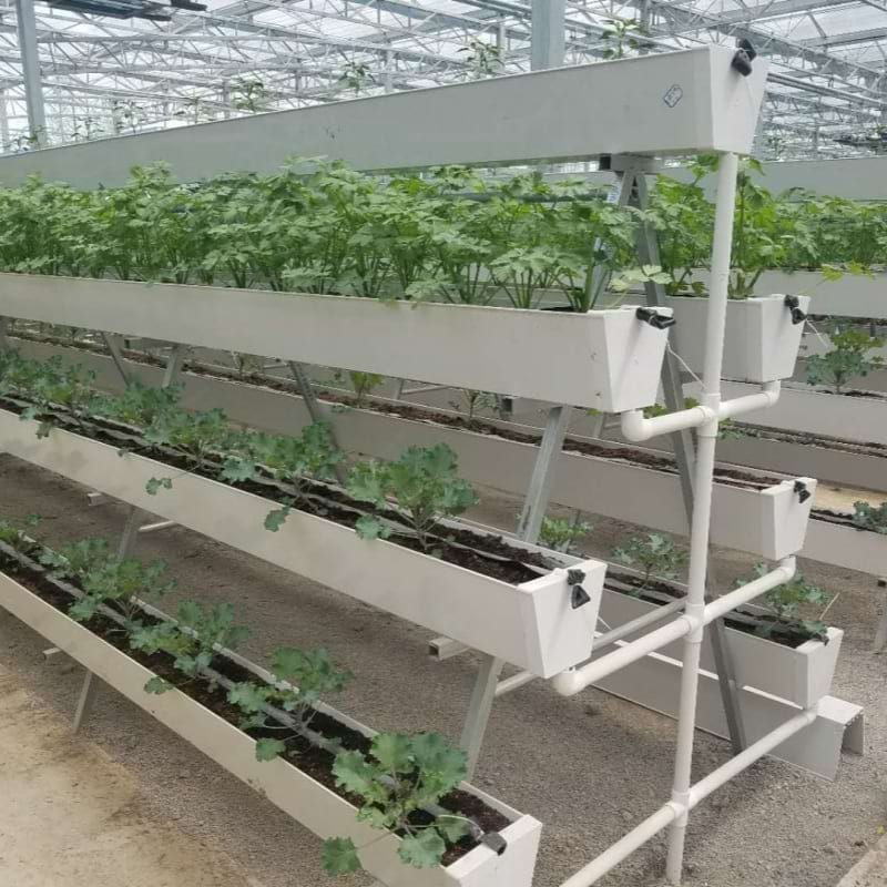 vertical hydroponic system